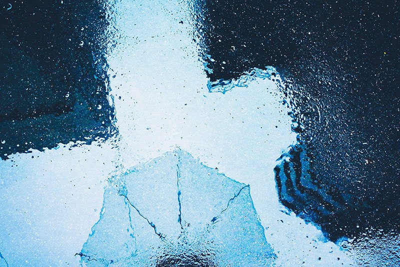 Reforestation project